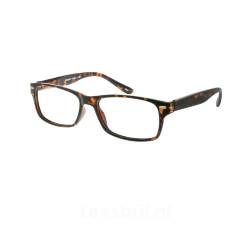 I Need You. Classic Line Robert. Unisex Leesbril.