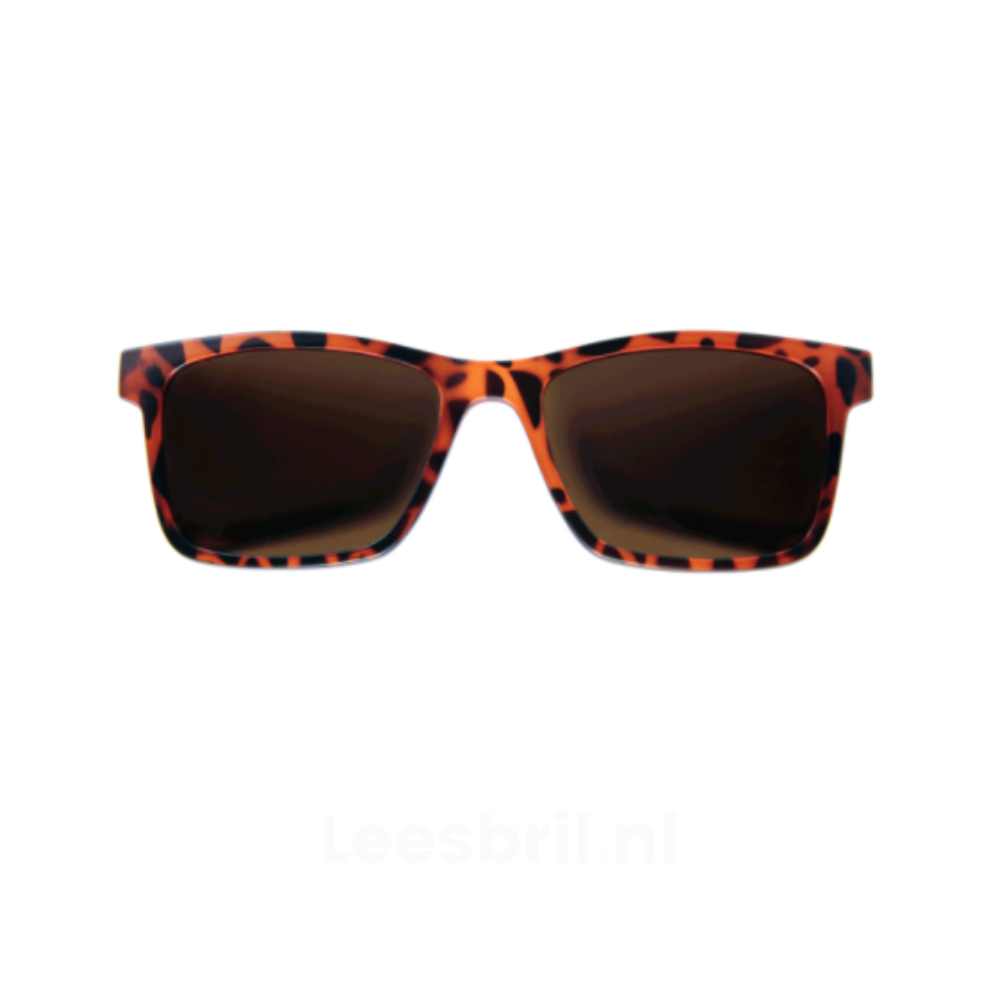 Clip-on zonneleesbril