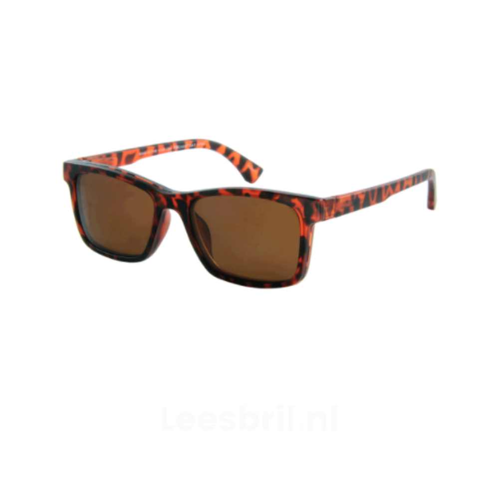 Clip-on zonneleesbril