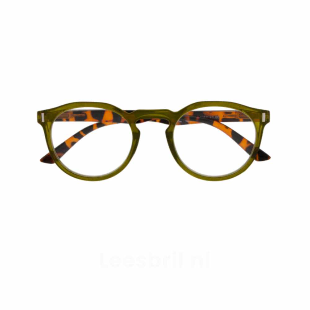 Leesbril Nemo RCJ352 Icon Greenline