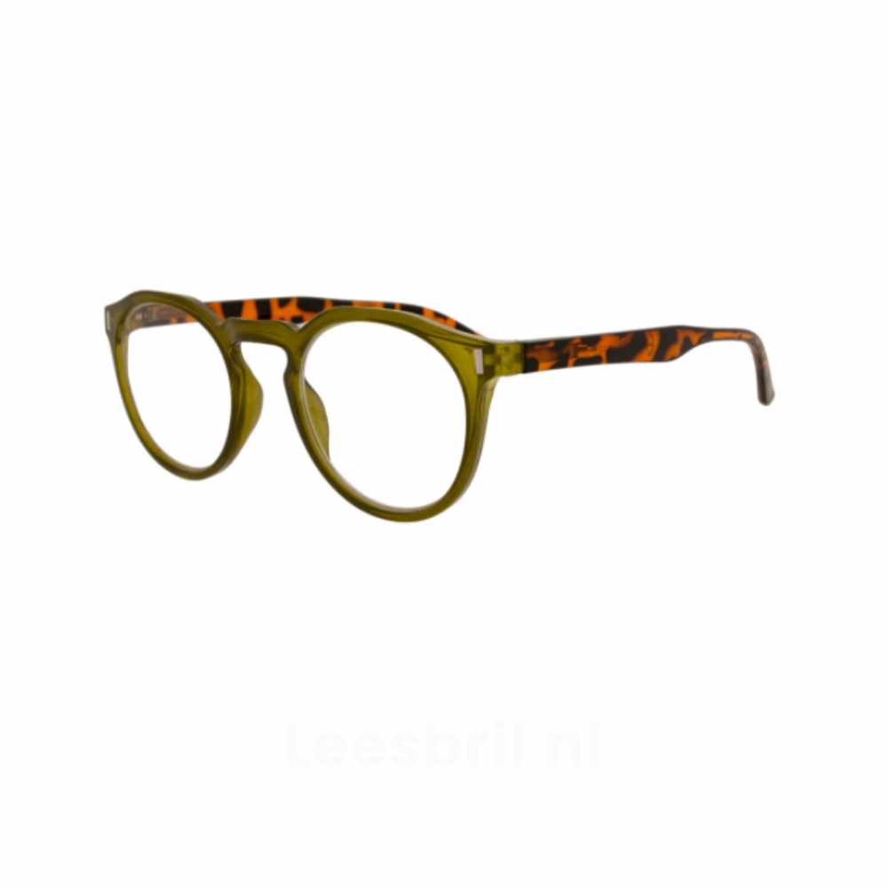 Nemo RCJ352 Dames Leesbril
